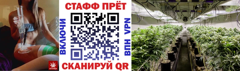 Виды наркотиков купить Жирновск ГАШ  Кокаин  APVP  Марихуана  Галлюциногенные грибы  Меф 